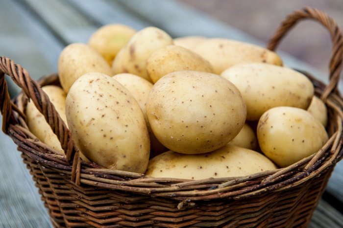 Рекомендации по выращиванию картофеля