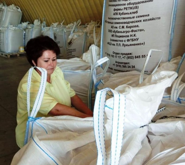В Тихорецком районе проведен отбор проб семян озимой пшеницы для сертификации.