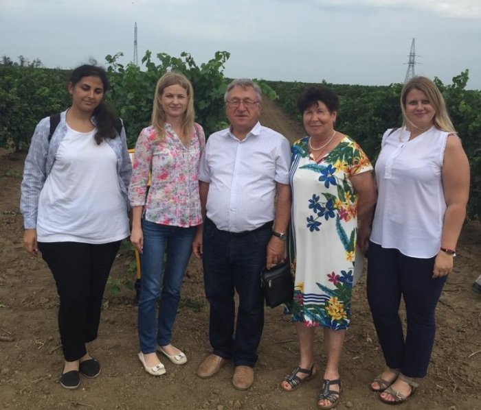 Виноградники под защитой «Россельхозцентра»