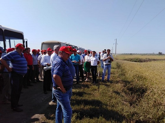 Участие в краевом предуборочном совещании рисоводов Кубани