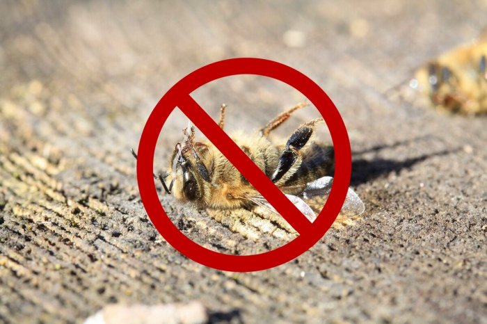 Информационный листок № 20 от 25.04.2024 г. Предотвращение отравления пчёл пестицидами