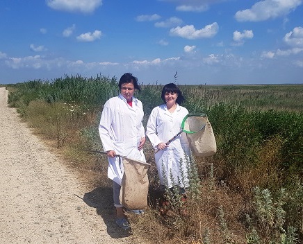 Проведение мониторинга на выявление саранчовых в Краснодарском крае