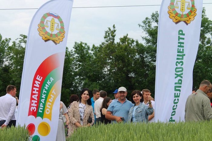 Состоялась традиционная встреча аграриев на Дне поля «Россельхозцентр»