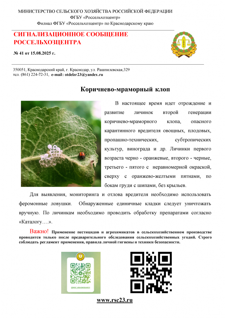-fBl1ZsIMRvfZfHhi-001.png