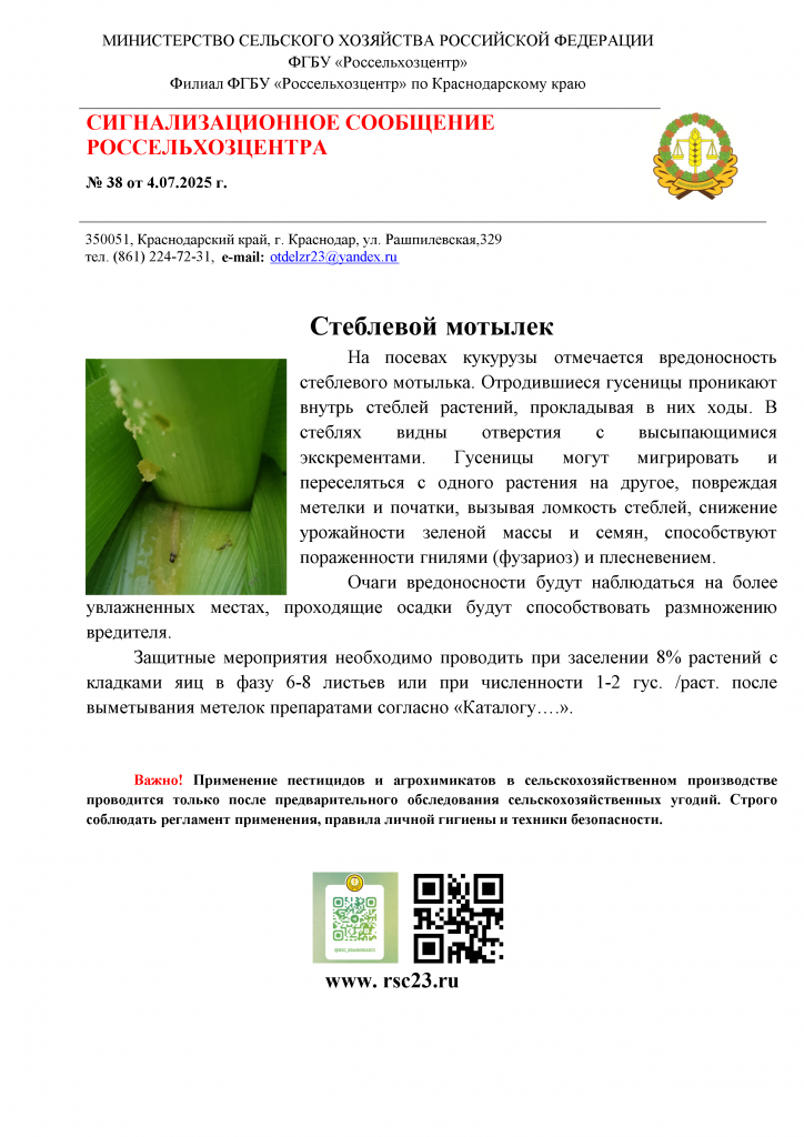 №38. Сигнал по стеблевому мотыльку.png