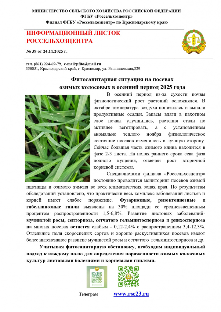 27.11.2025