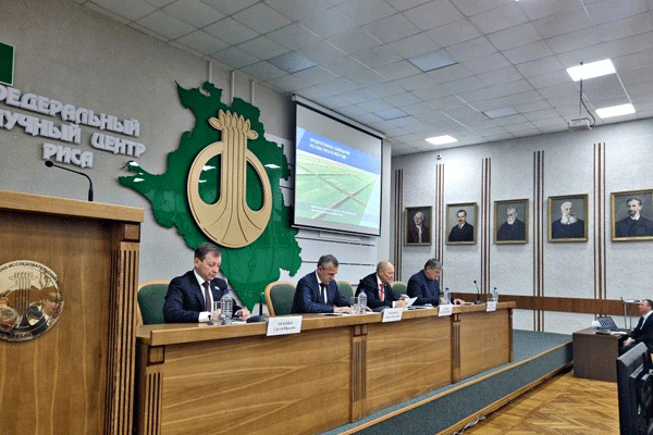 Краснодарский филиал принял участие в предпосевном совещании по севу риса в 2026 году