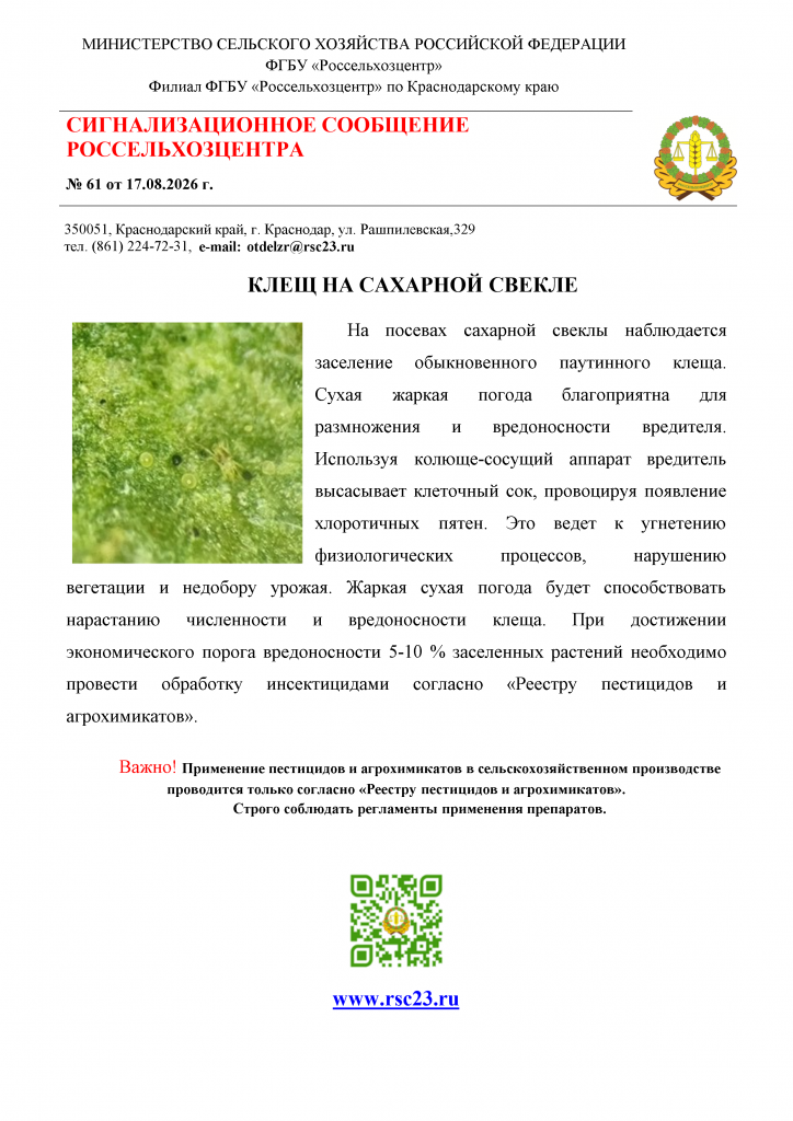 Сигнал клещ на сахарной свекле.png