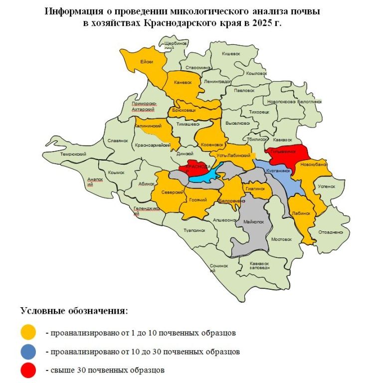 Снимок_999.jpg