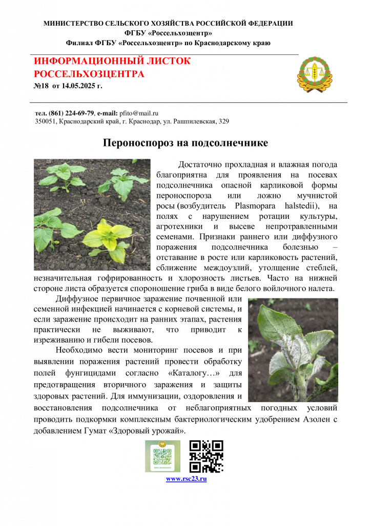 №-18.-ИНФОРМАЦИОННЫЙ-ЛИСТОК-Пероноспороз-подсолнечника.png
