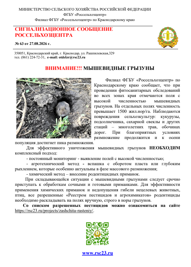 Снимок.PNG