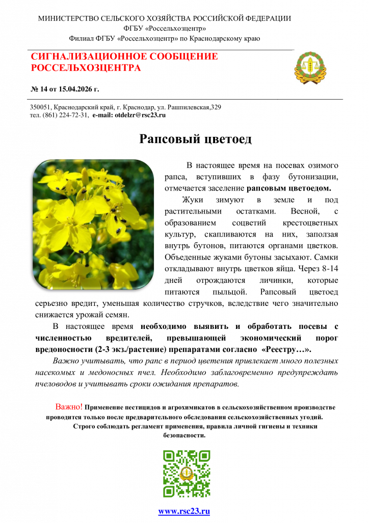 №14.-Сигнал-по-рапсовому-цветоеду.png
