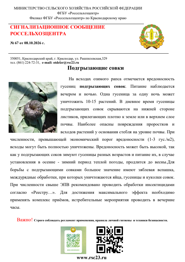 Снимок.PNG