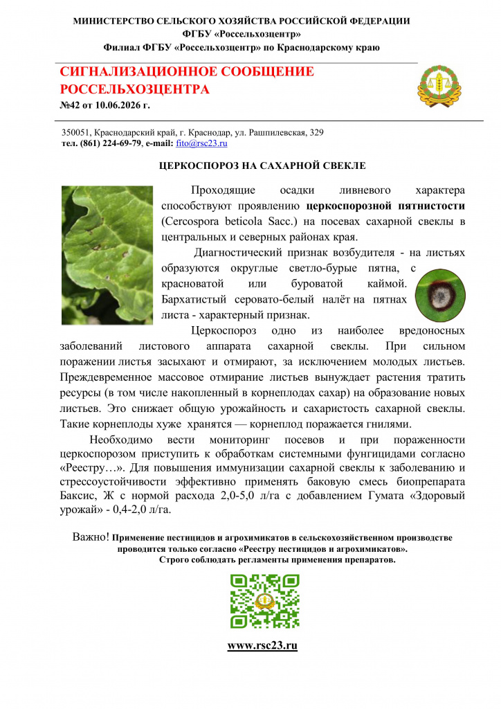 № 42 Сигнализационное сообщение, церкоспороз на сахарной свекле.jpg