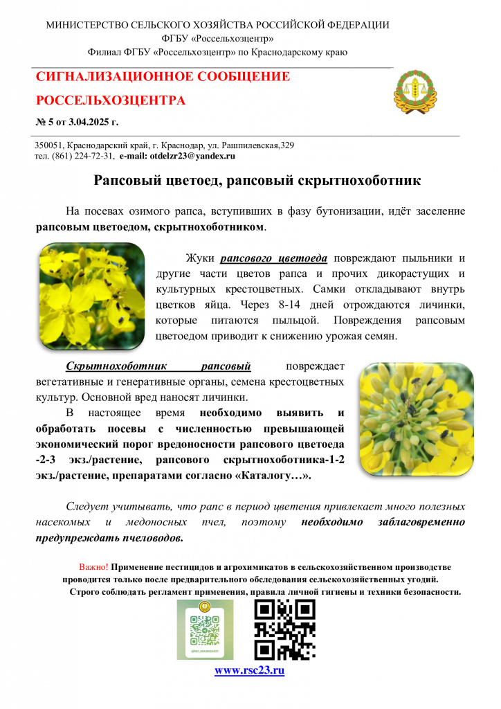 №5.-Сигнал-по-рапсовому-цветоеду.png