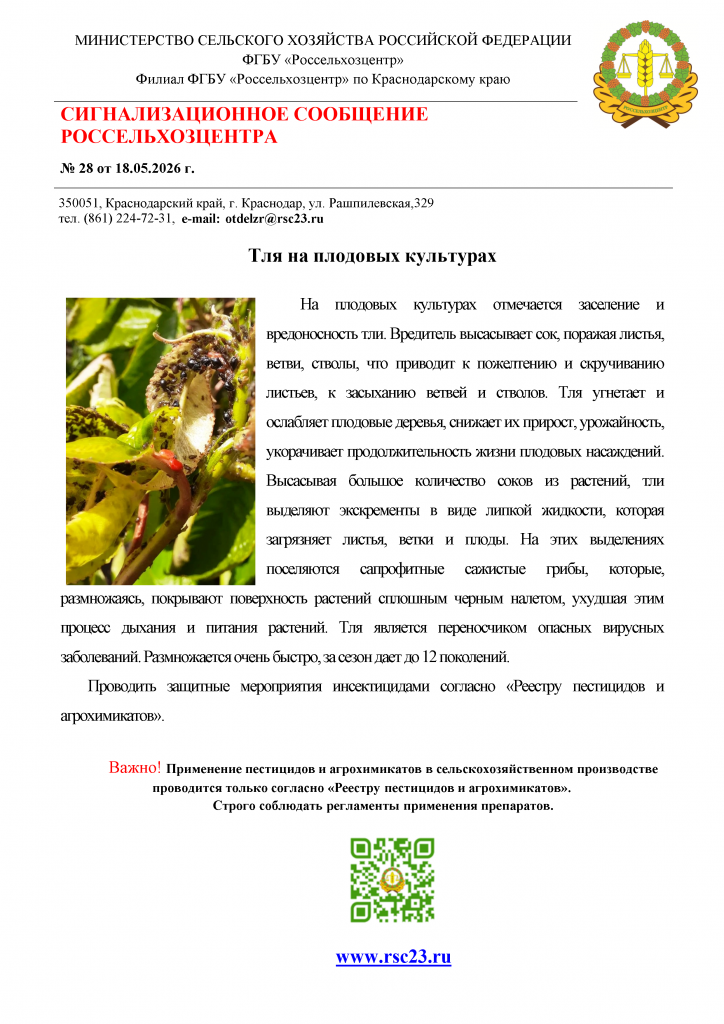 -1MgkGmAWb361CB3p-001.png