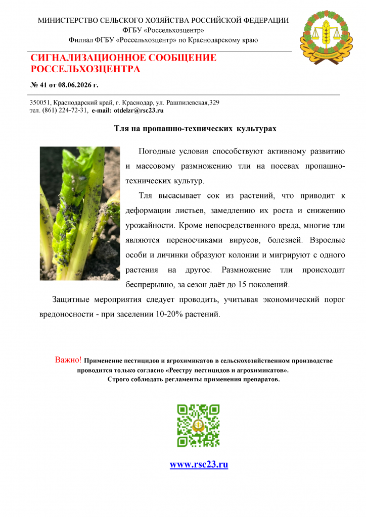 -jRs6uM22Dk9QfwIt-001.png