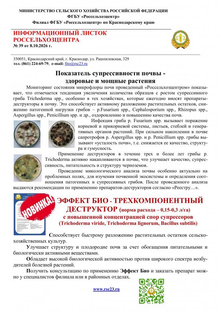№ 39 ИНФОРМАЦИОННЫЙ ЛИСТОК № 39 08.10.26.png