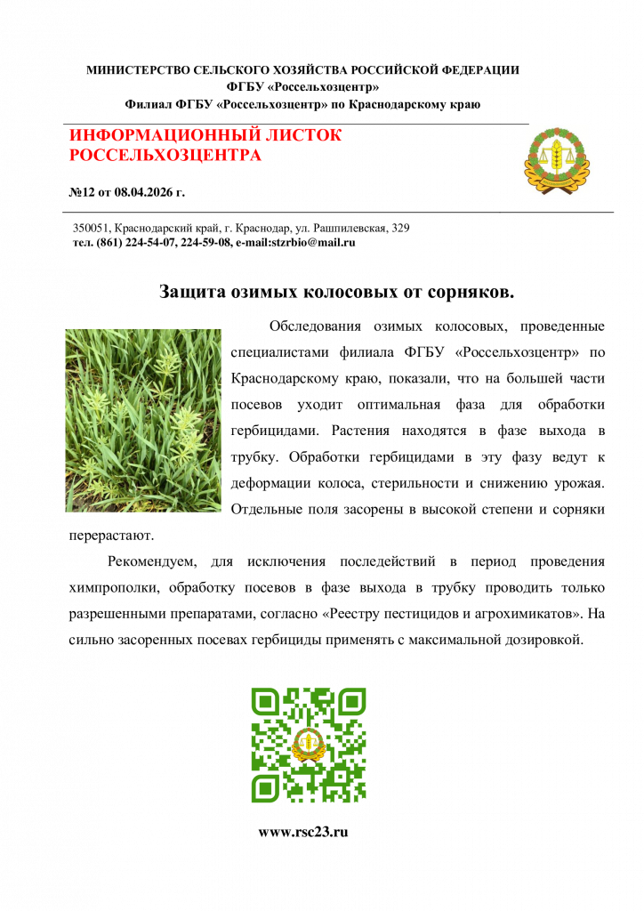 12.-ИНФОРМАЦИОННЫЙ-ЛИСТОК-№12-переростание-пшеницы.png