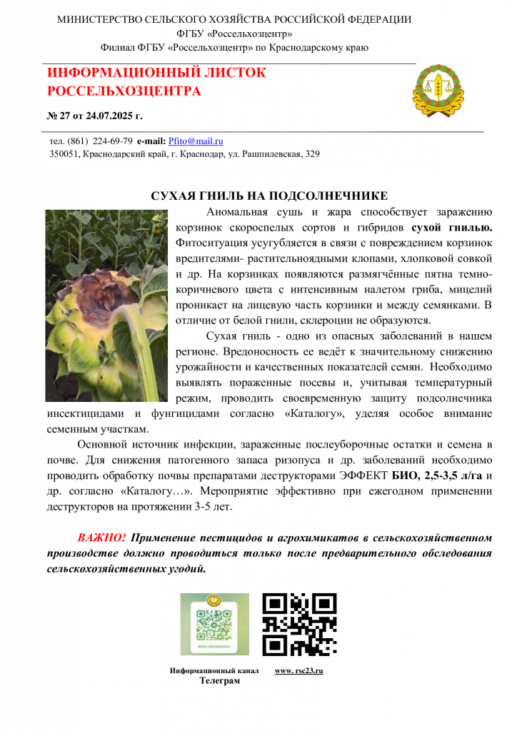 27.-ИНФОРМАЦ-ЛИСТОК-ризопус.png
