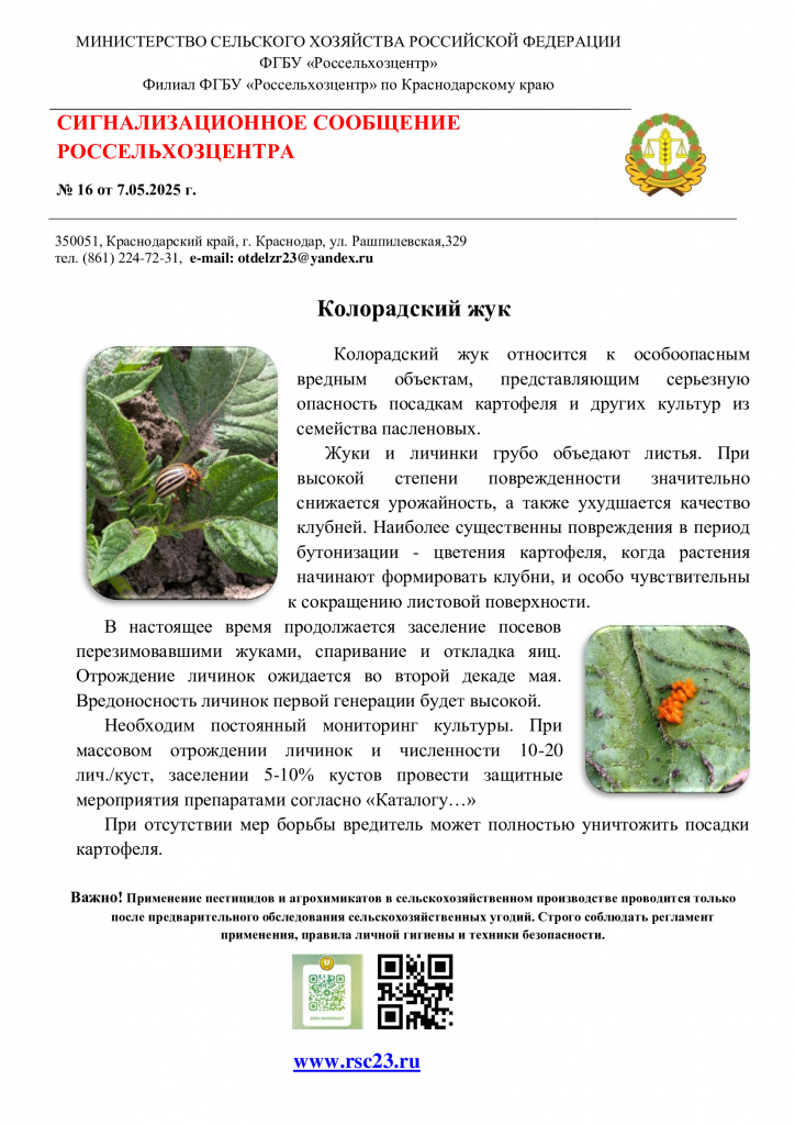 №16.-Сигнал-по-колорадскому-жуку (1).png