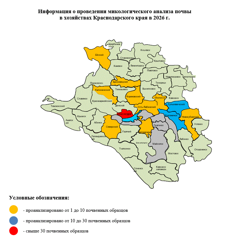 микология2.GIF