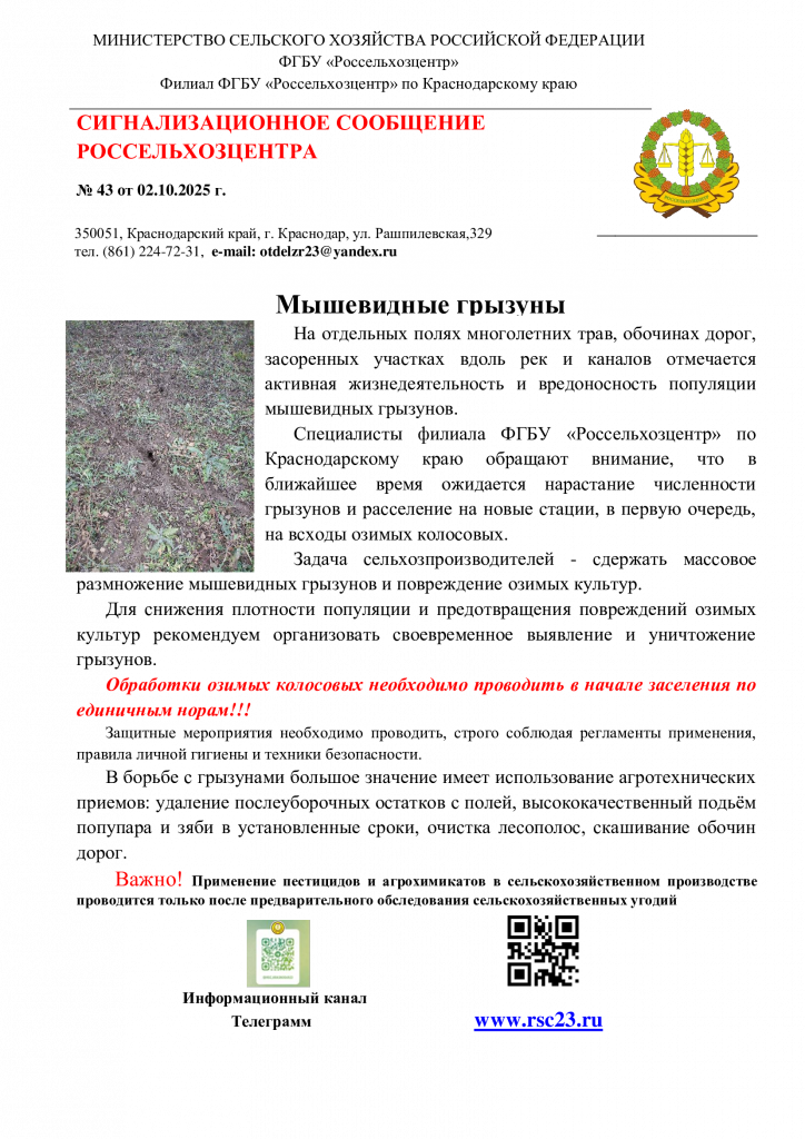 №43.-Сигнал-по-мышевидным-грызунам-от-02.10.25г..png