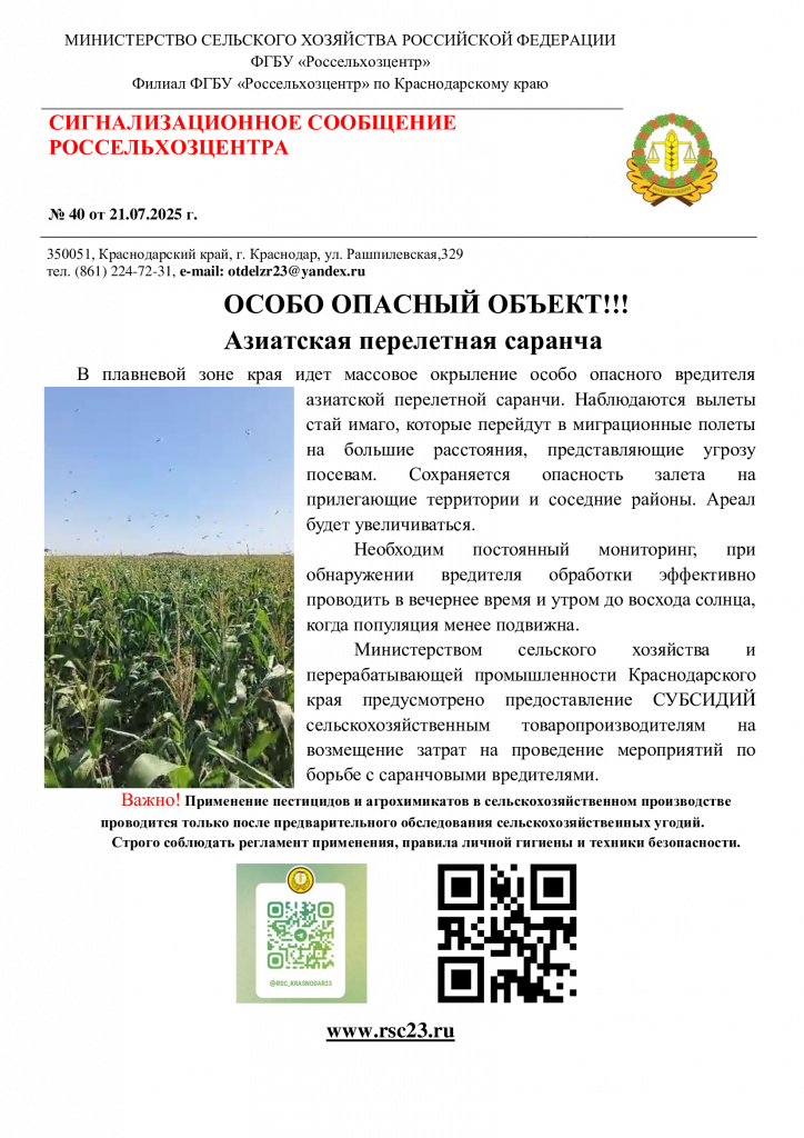 №40.-Саранчовые_-вылет.png