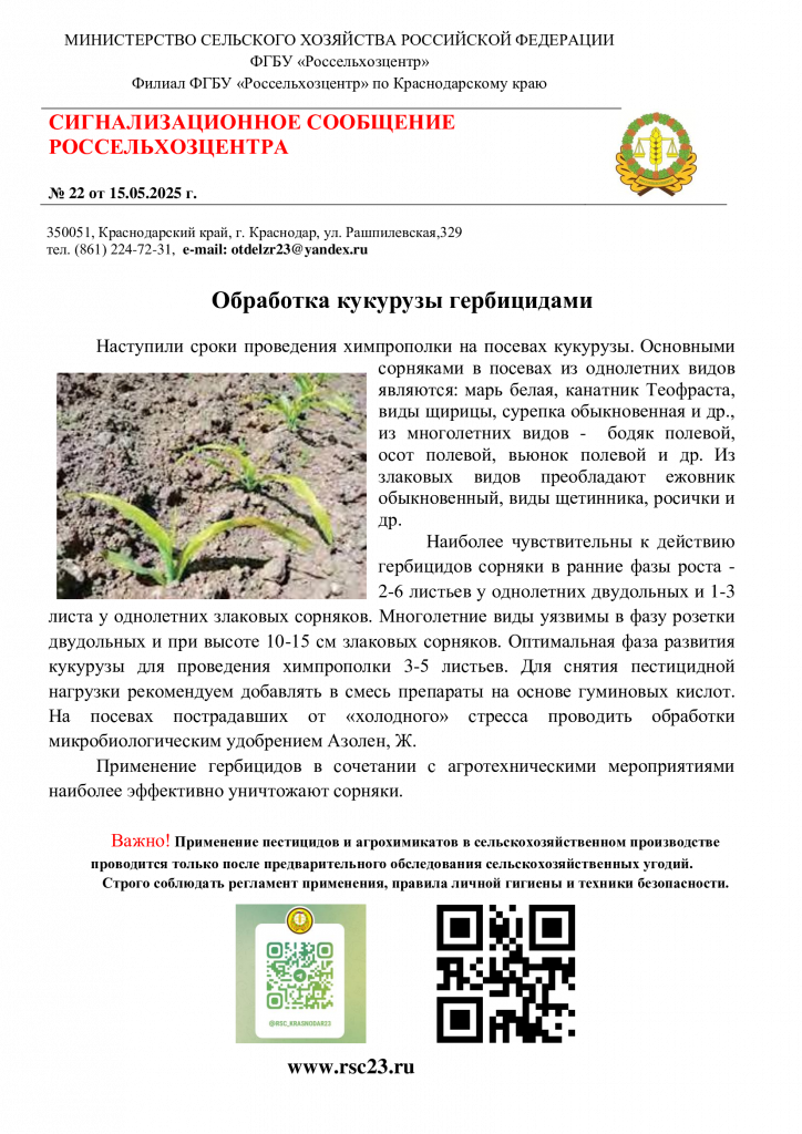 №22.-Сигнал-по-гербицидам-на-кукурузе.png