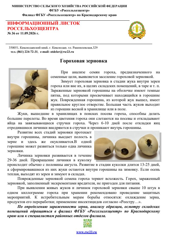 Снимок.PNG