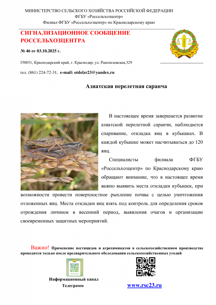 №46.-Сигнал-по-саранче.png