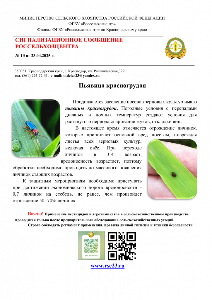 №13.-Сигнал-по-пьявице.png