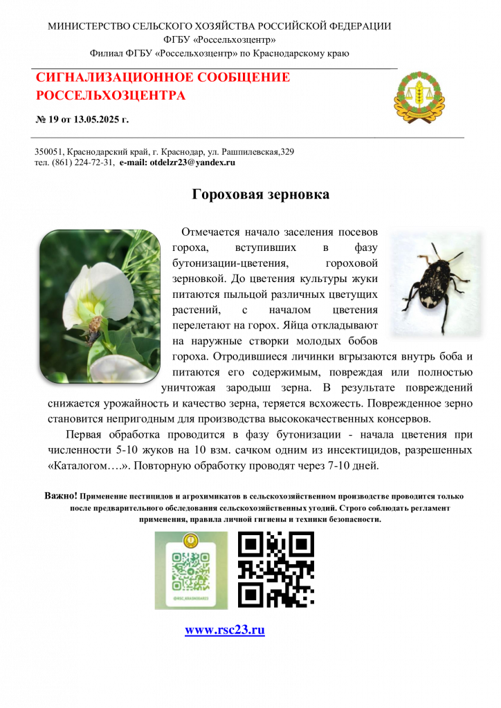 №19.-Сигнал-по-гороховой-зерновке.png
